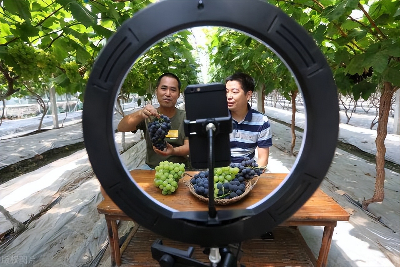 互联网电商直播带货发展规划,互联网农产品直播营销方案