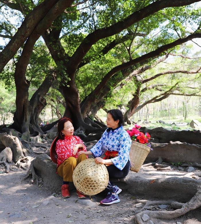 霞浦畲族农家乐,霞浦盐田农家乐