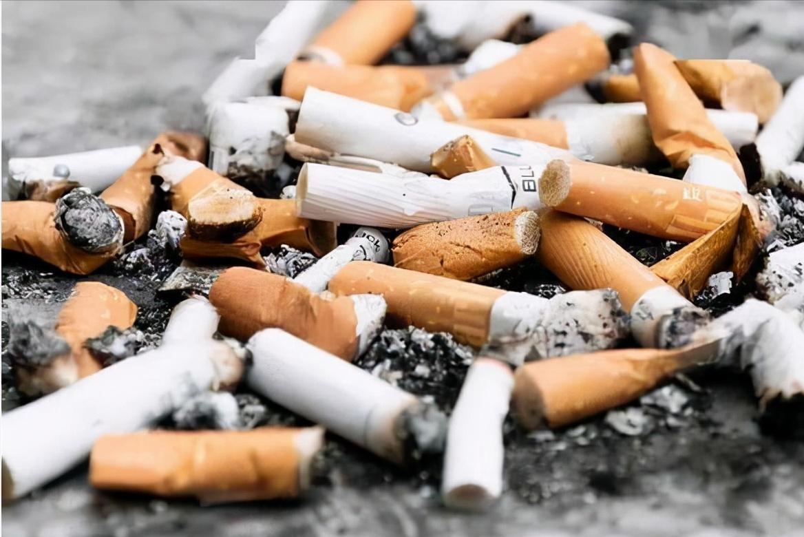 吸烟有害吗？英国*草烟**公司用48只狗做实验，三年每天抽100根烟