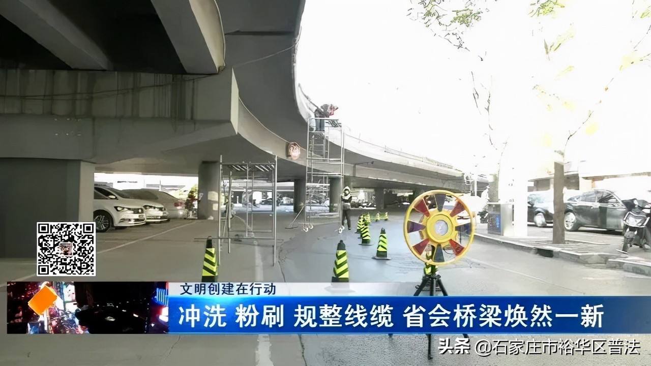 保护野生动物违法案例,最高检危害濒危野生动物典型案例