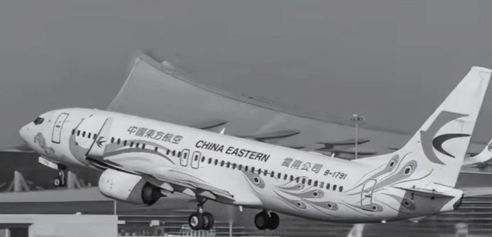 东航mu5735坠机事故遇难者简介,东航mu5735坠机事故有多少人遇难