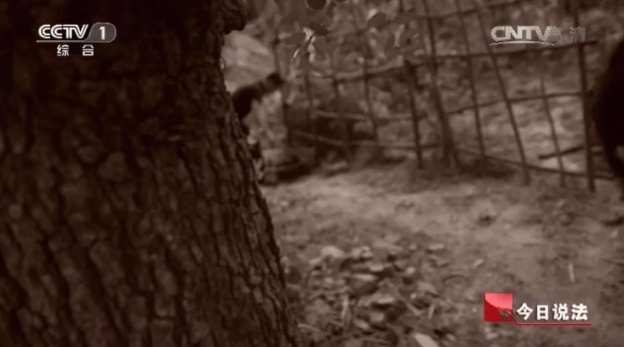 独居女子被杀后续,独居寡妇的真实事件