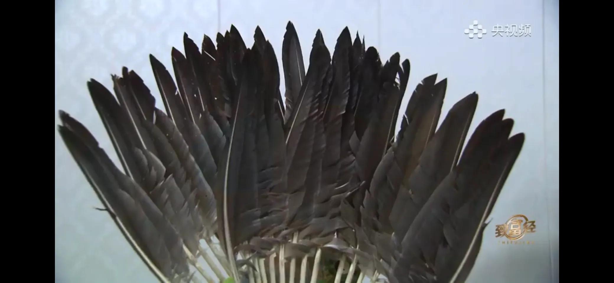 10万多只鸡养鸡场一年能挣多少,回村搞农业养殖一只鸡卖一万