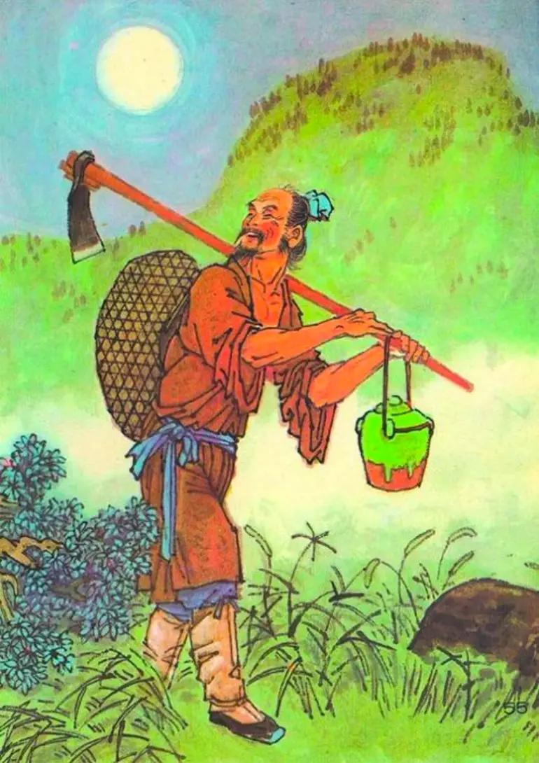 河北一地首次发现野生大豆,中国近期发现的野生大豆