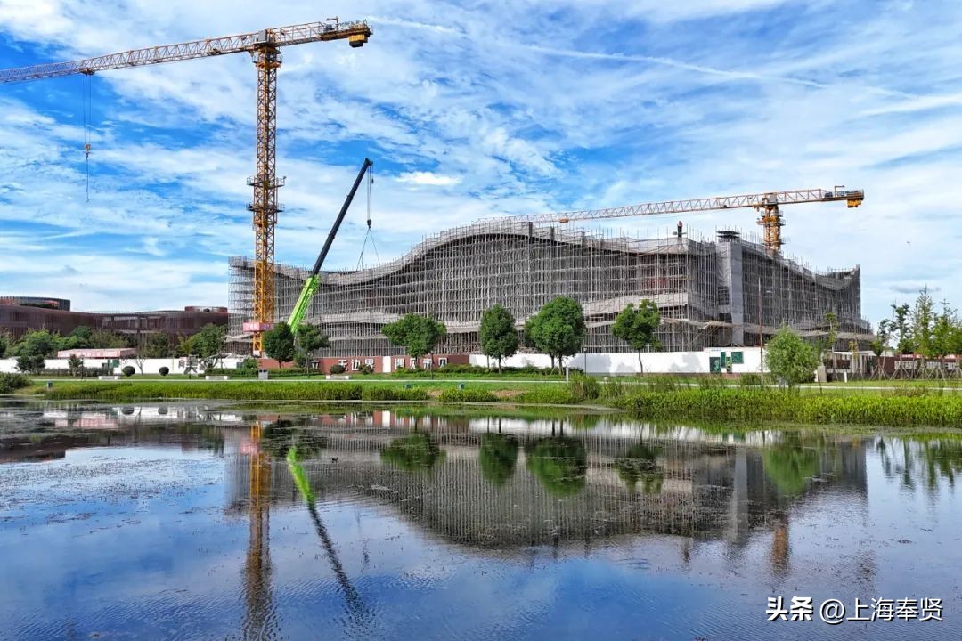 九月的第一天阳光灿烂,九月的第一天有点甜