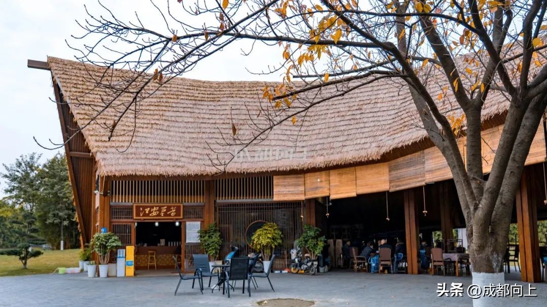 马家寺交通拥堵,双流马家寺现状