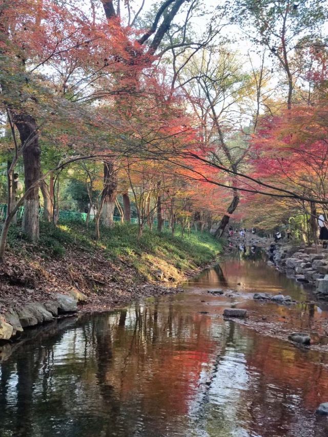 杭州周边赏秋好去处,杭州赏秋最佳攻略