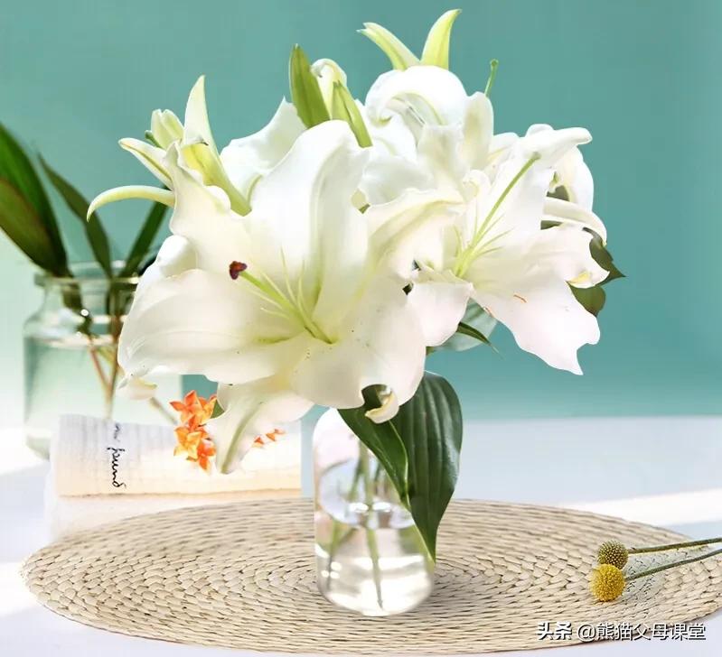 聆听花语盆景直播,聆听花语的声音