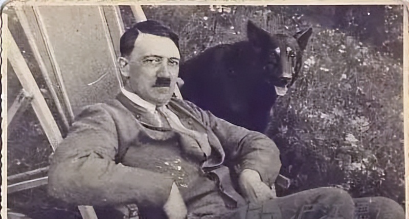 纳粹德国的十大谜团,纳粹德国背后的秘密