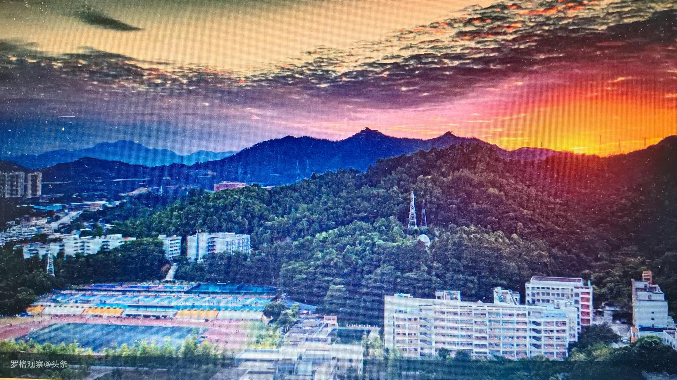 惠州学院的毕业生就业情况,惠州学院2017毕业生