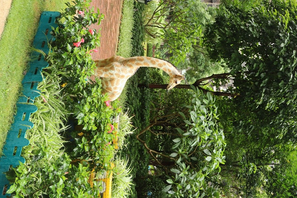 你们的小区绿化都是什么样的,小区绿化你觉得怎么样