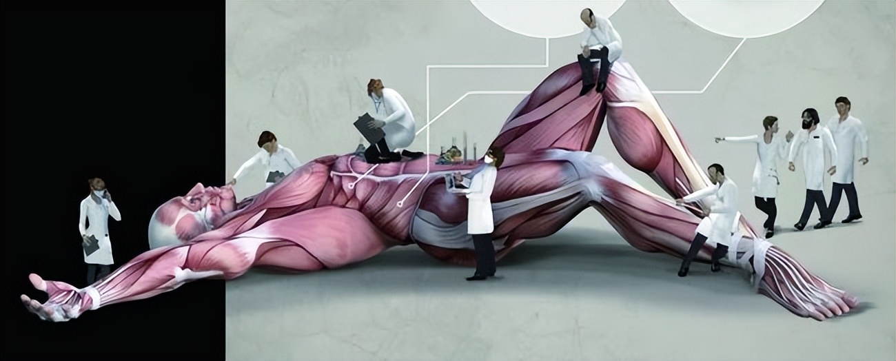 印度的人骨交易黑市,比缅甸北部还要凶残的国家