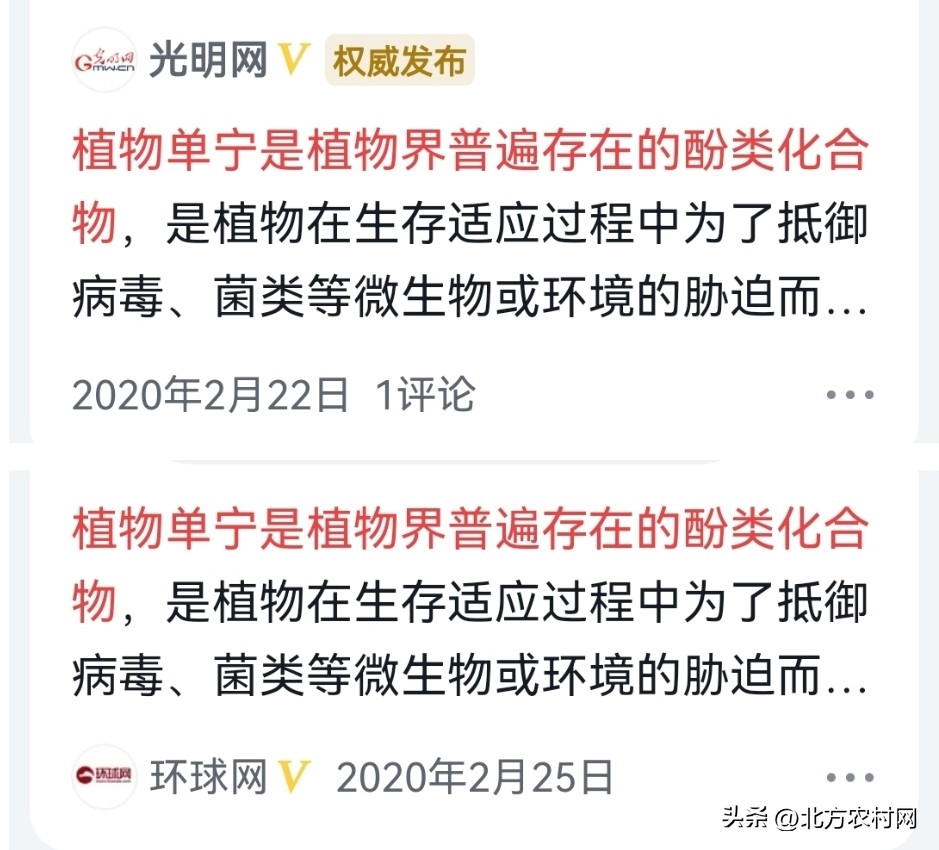 洪雨1号玉米种详细介绍和容重,洪雨r1号玉米种产量特性