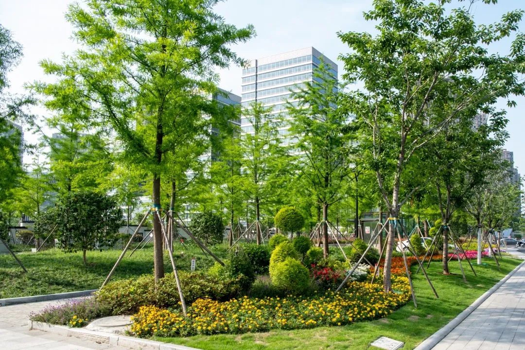 变身市民中心亮出新颜值,市民中心亮点