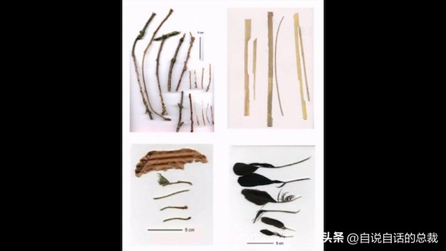 乌鸦为什么是外星人,外星人至今还未出现的5大原因