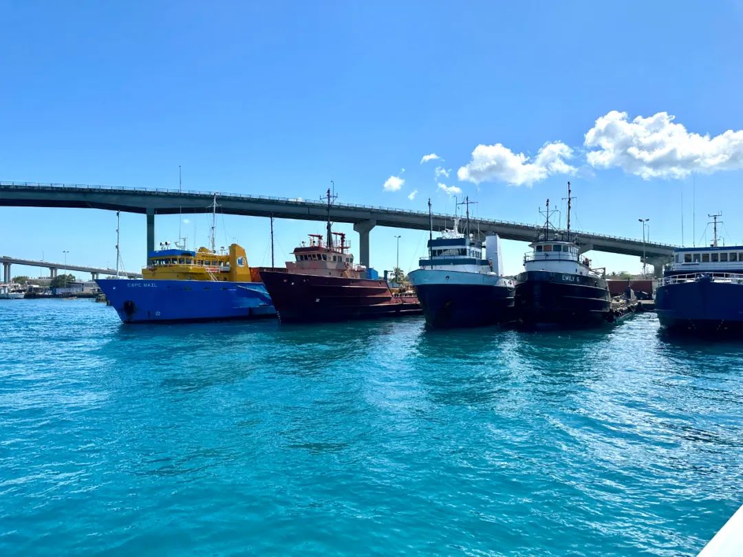 msc地中海邮轮5天4夜,msc邮轮旅游攻略