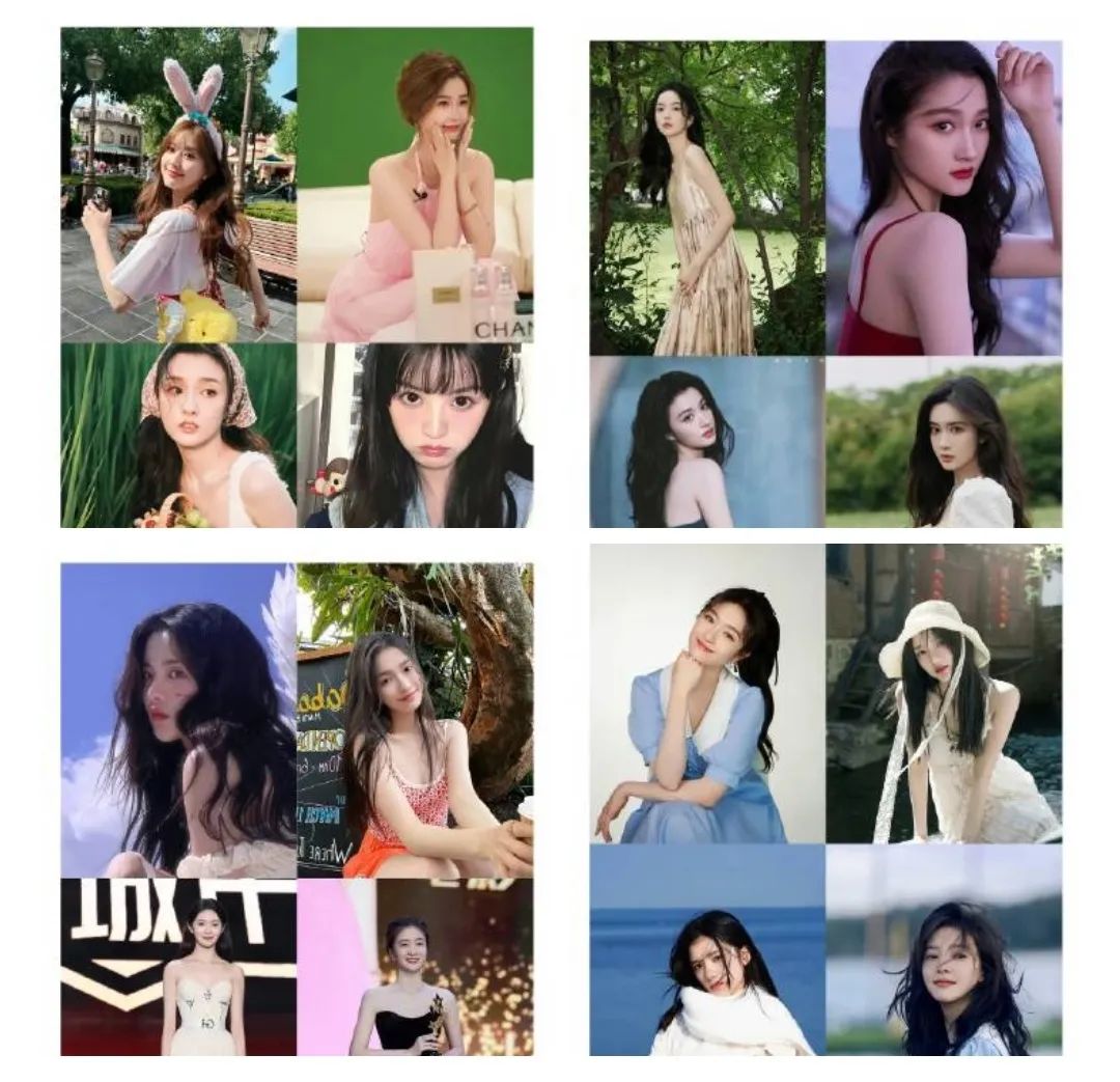 四系95花，各有各的美！