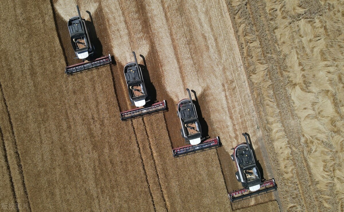 中俄农业合作新政策 (中俄农业合作最新消息)