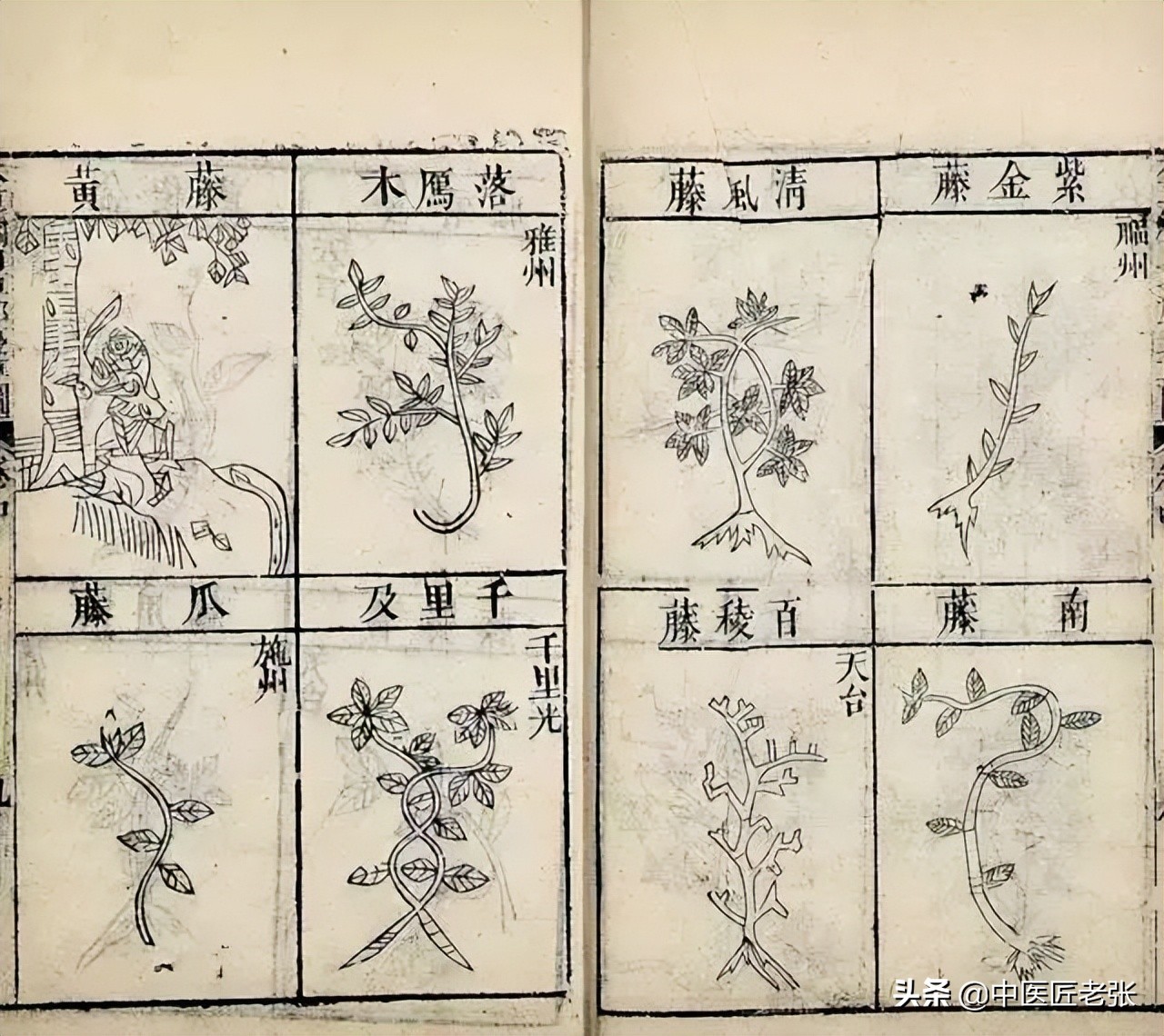 细数中国医学史之最（1）