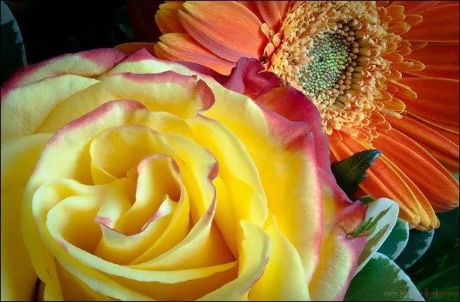 100幅经典摄影作品欣赏,100幅精品摄影图