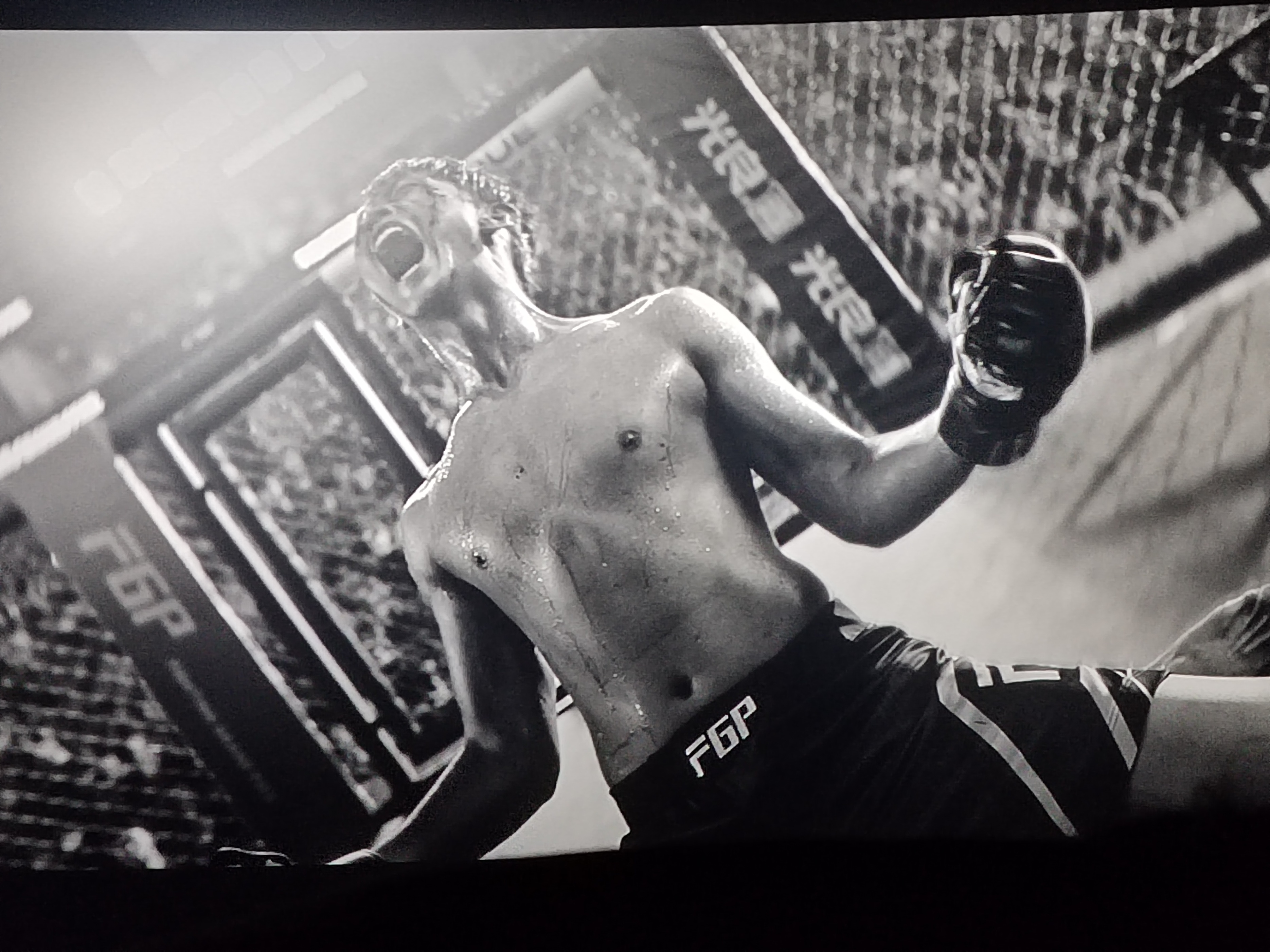 电影八角笼算不算好片,电影八角笼中的背后真实事件