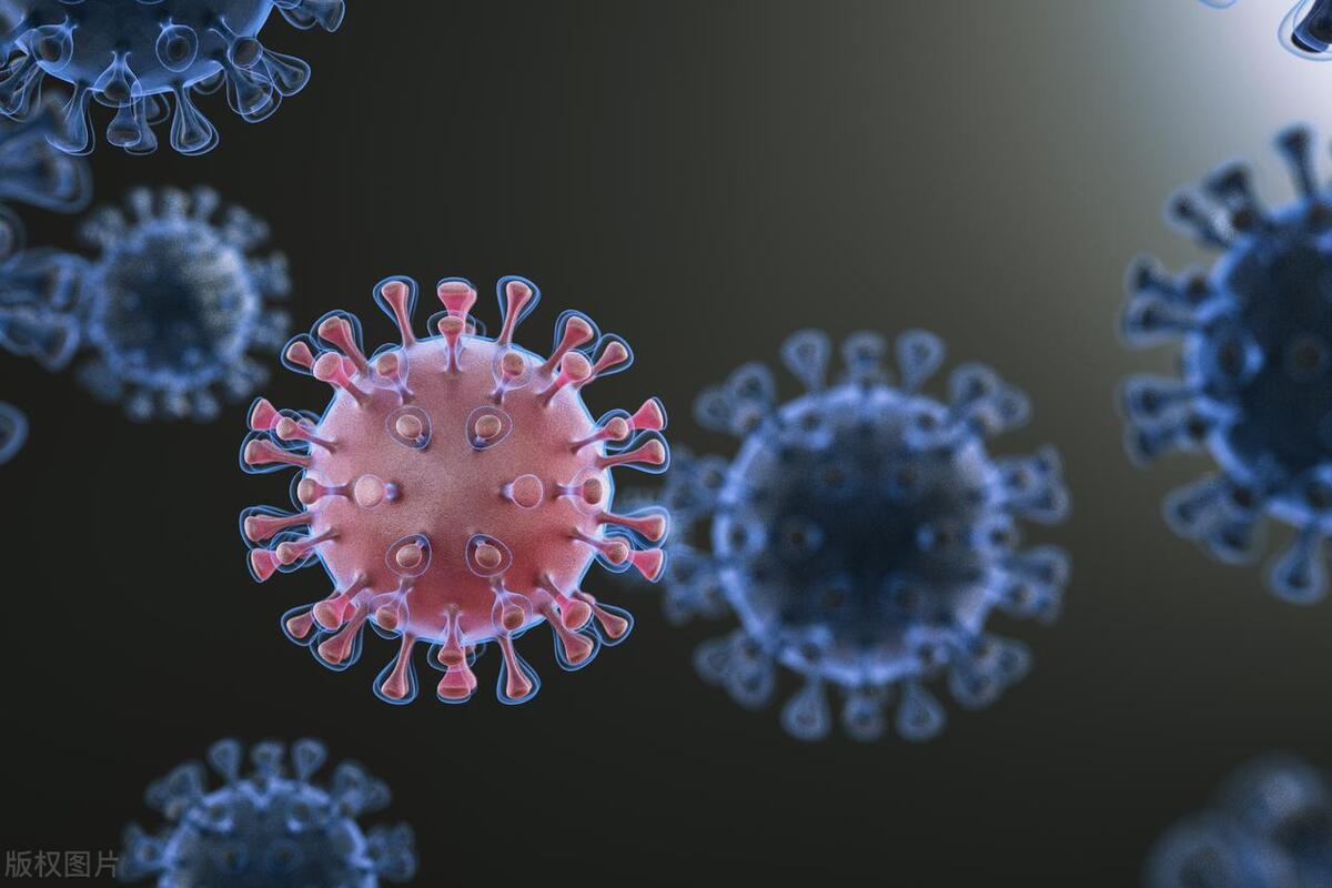 下面长的尖锐湿疣和假性湿疣到底怎么区分？医生教你几个方法辨别