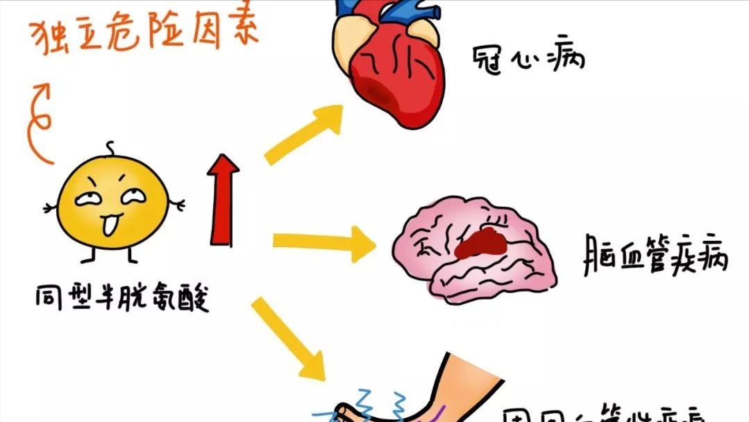 几块钱一瓶的维生素B6有助改善睡眠、预防脑梗，科学服用注意4点