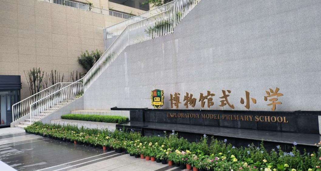 新牌坊巴蜀常春藤,新牌坊正大德善学校巴蜀常春藤