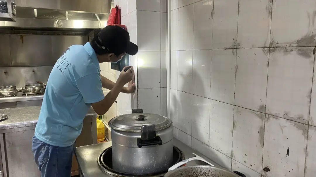 佛弟子是怎么处理家里的蟑螂,家里厨房蟑螂太多处理方法