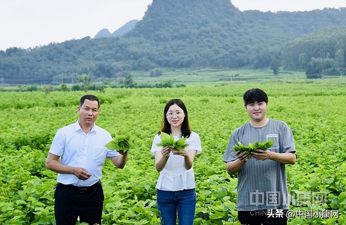 返乡农人助力乡村振兴,退役留守乡村青年助力乡村振兴