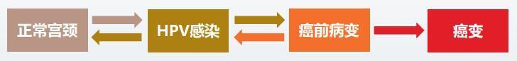 宫颈癌其实并不可怕,宫颈癌前病变三级可怕吗