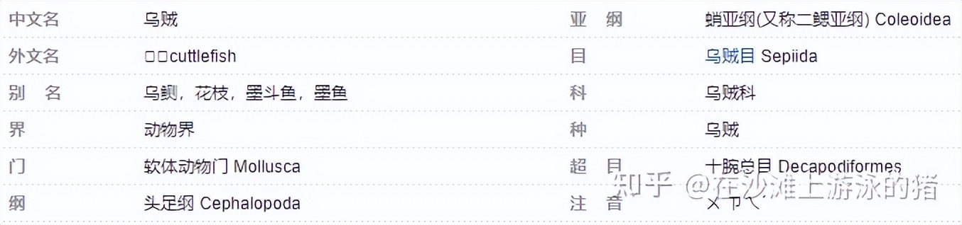 大话舟山海鲜系列(三)—大话墨鱼(喷墨家族成员之一)