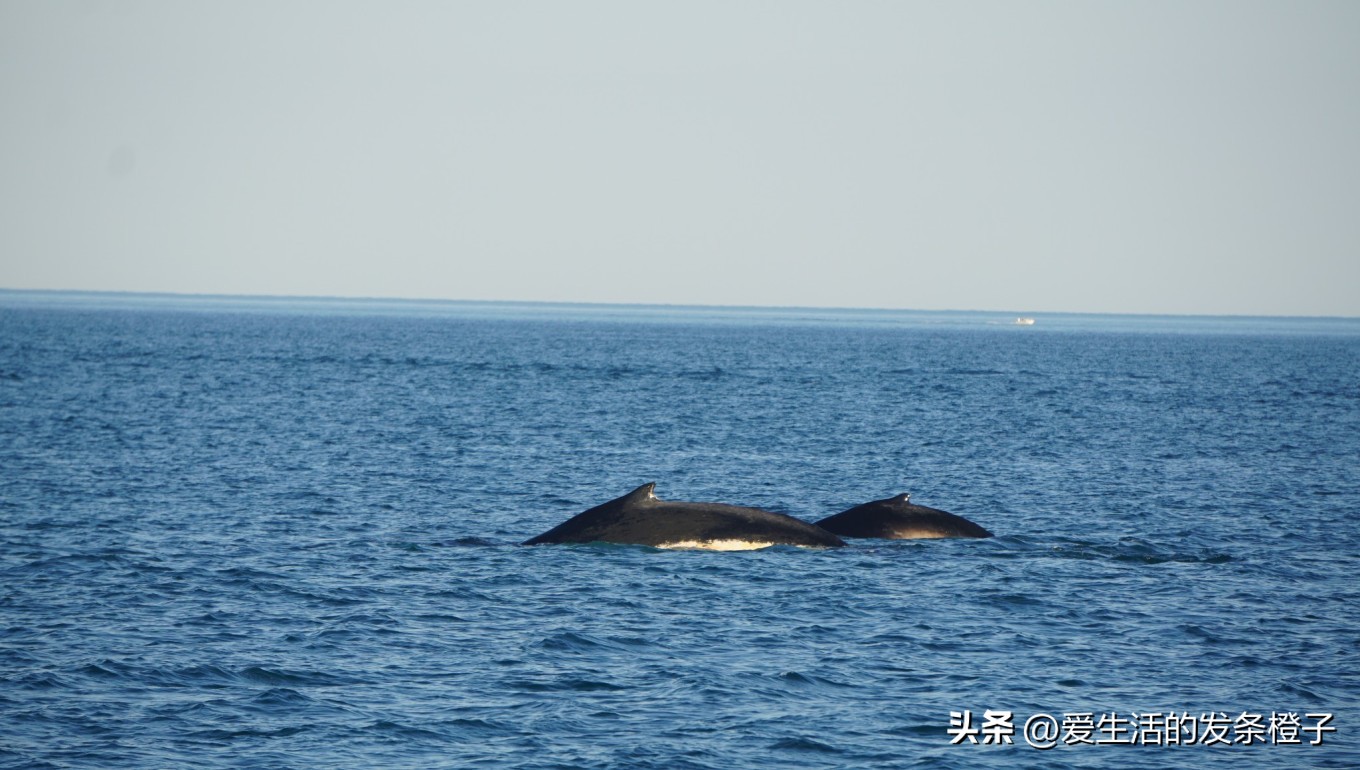 一路向北全程1980公里,西澳自驾游最佳路线图