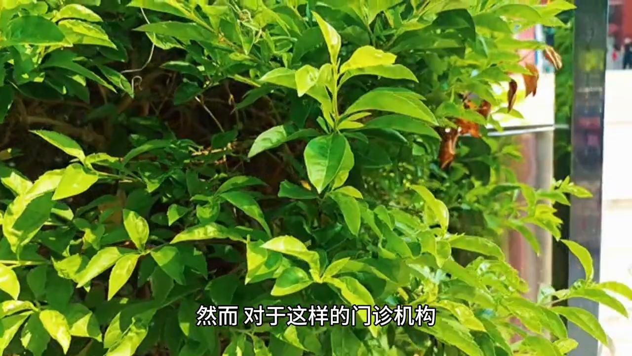 周口市儿童康复中心,周口儿童康复最好的医院