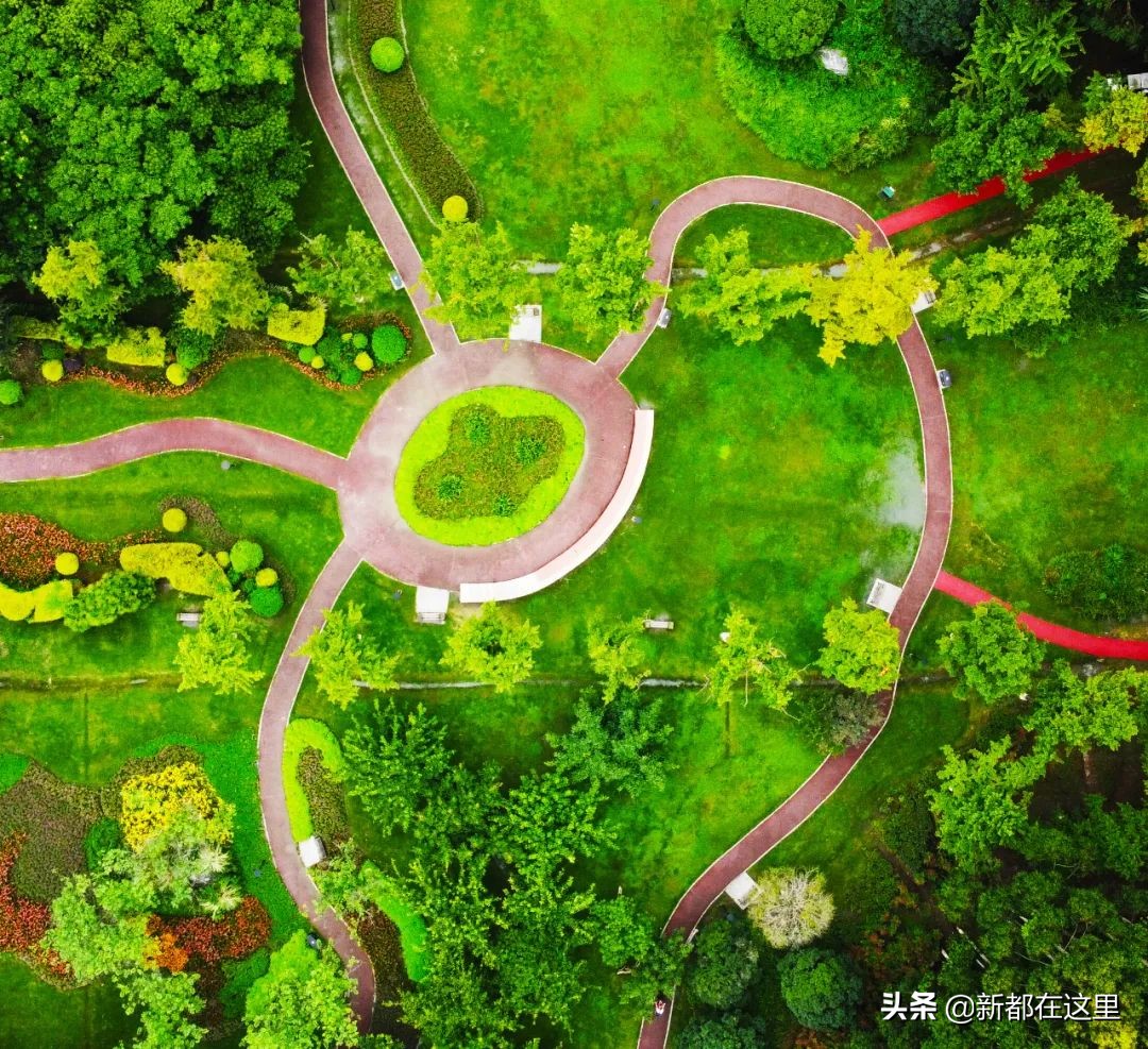 如果城市有颜色重庆,如果城市有颜色作文