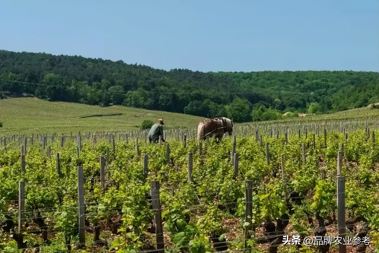 法国驻华大使馆农业参赞20分钟畅谈“地理标志产品”