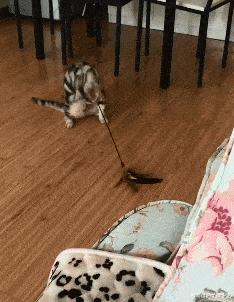 想知道平时的消费在什么价格,想要知道自己什么阶层