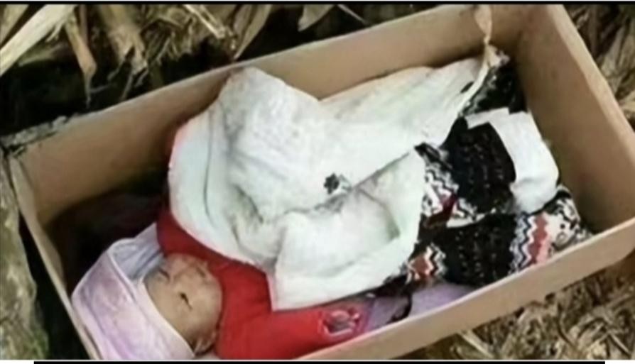 养女带养父坐房车周游全国,你养我长大我陪你变老男童完整版