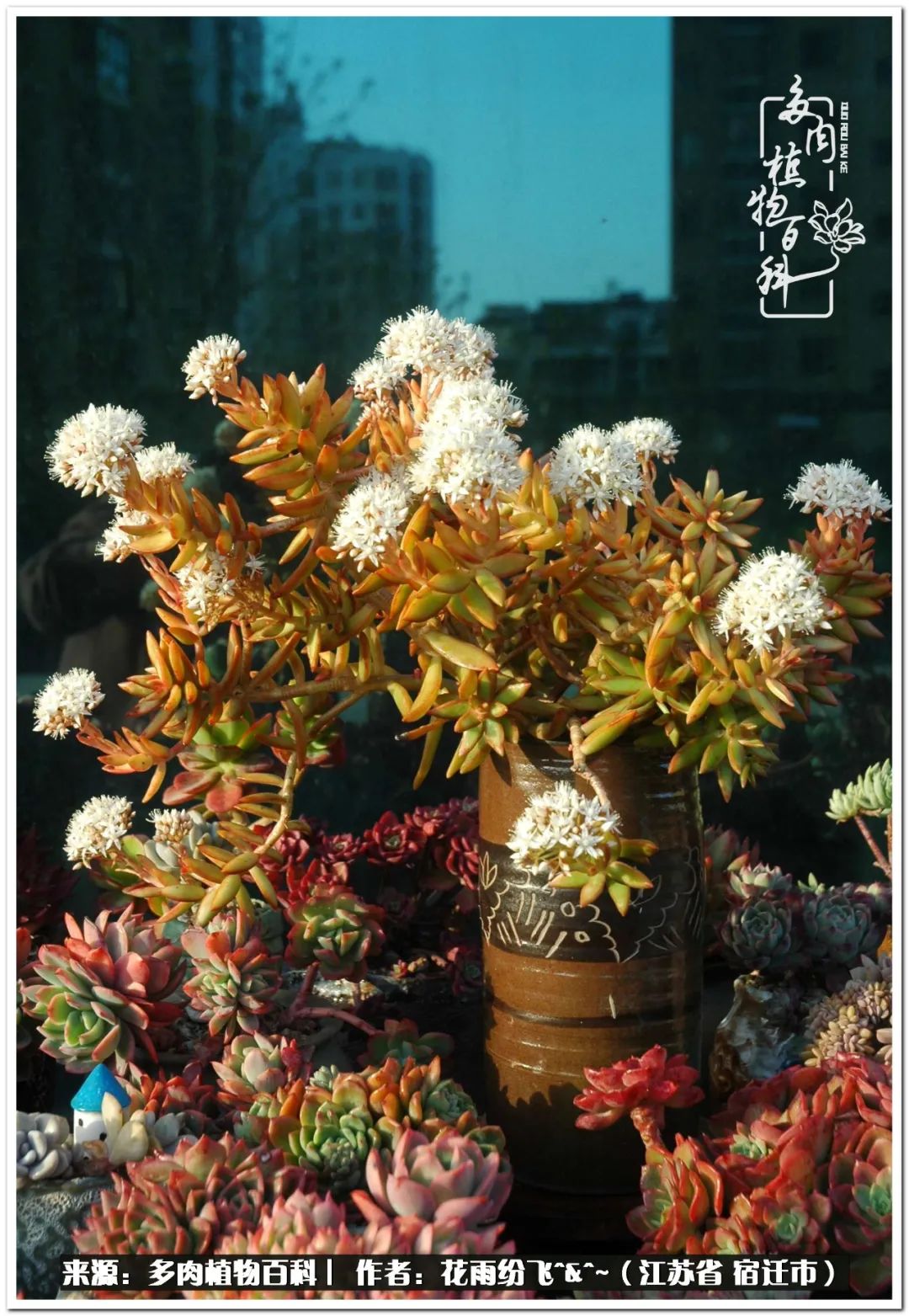 回味童年无忧无虑的快乐时光,童年最快乐的时光