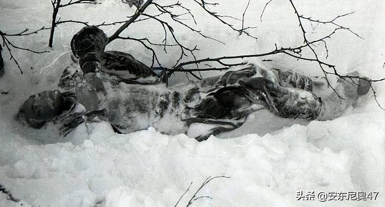 苏联神秘登山事件,前苏联9人登山死亡事件