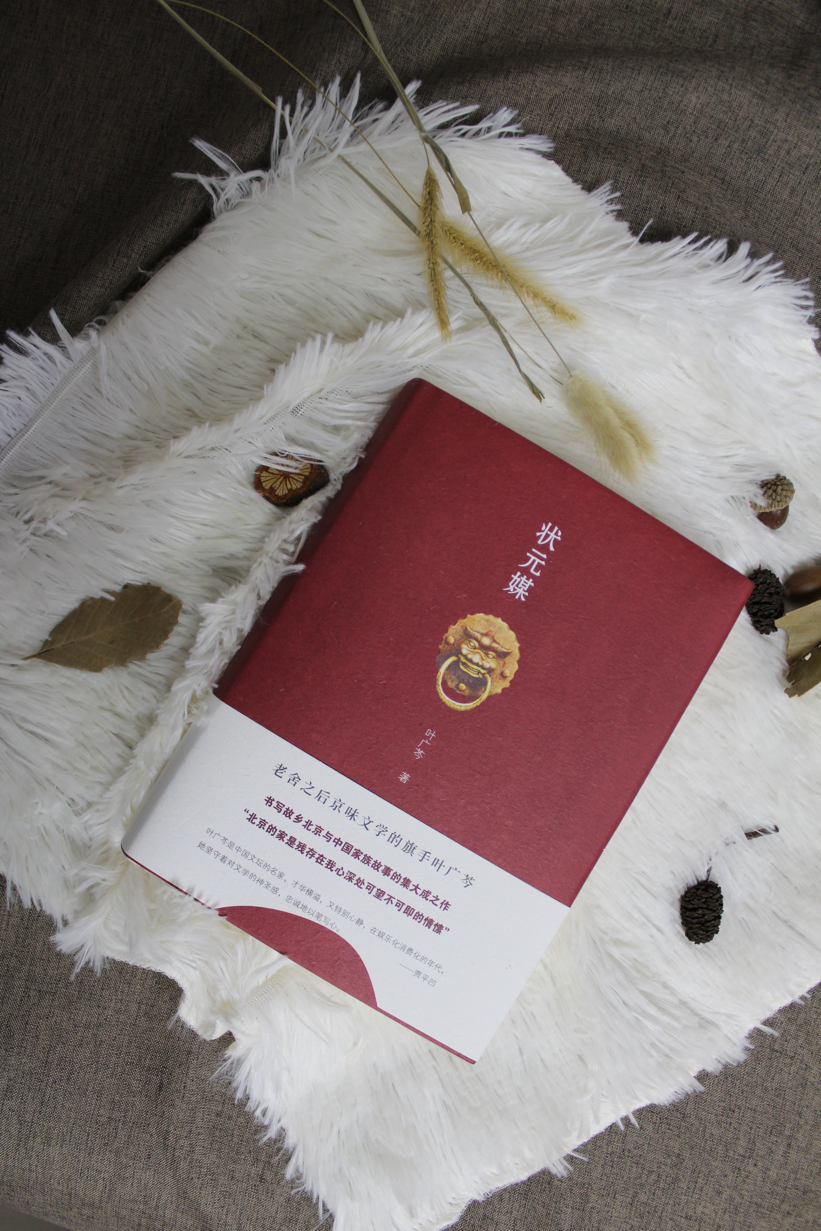 状元媒叶广芩电视剧,叶广芩状元媒免费