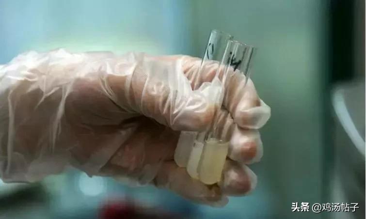 捐精志愿者：取精室不是很色情，半年捐8-10次，1ml领50元补贴