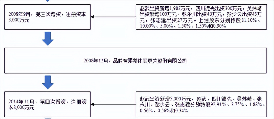 品胜电子2021销售额,品胜电子净利润