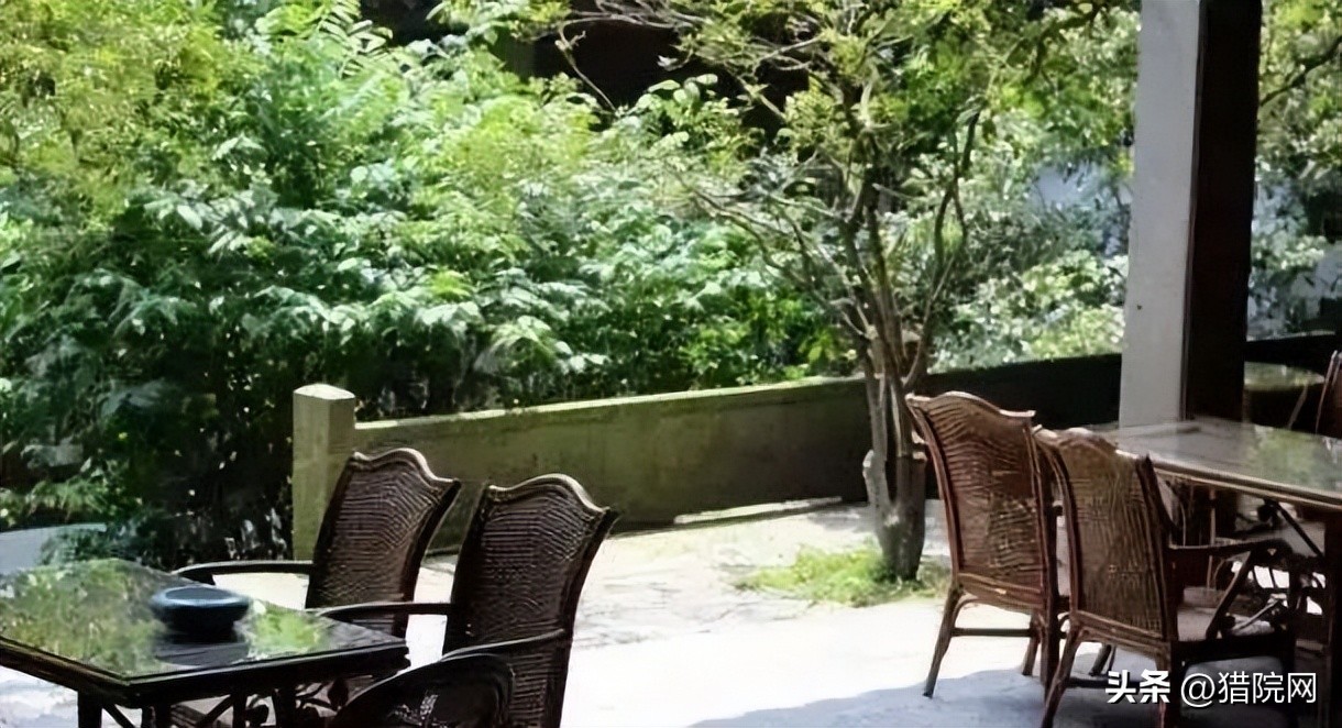 创业型农村小院,乡村创业农家小院设计方案