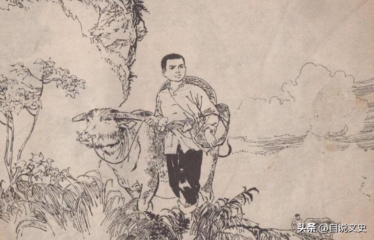 分享自己的经验体会,分享自己的经验和故事