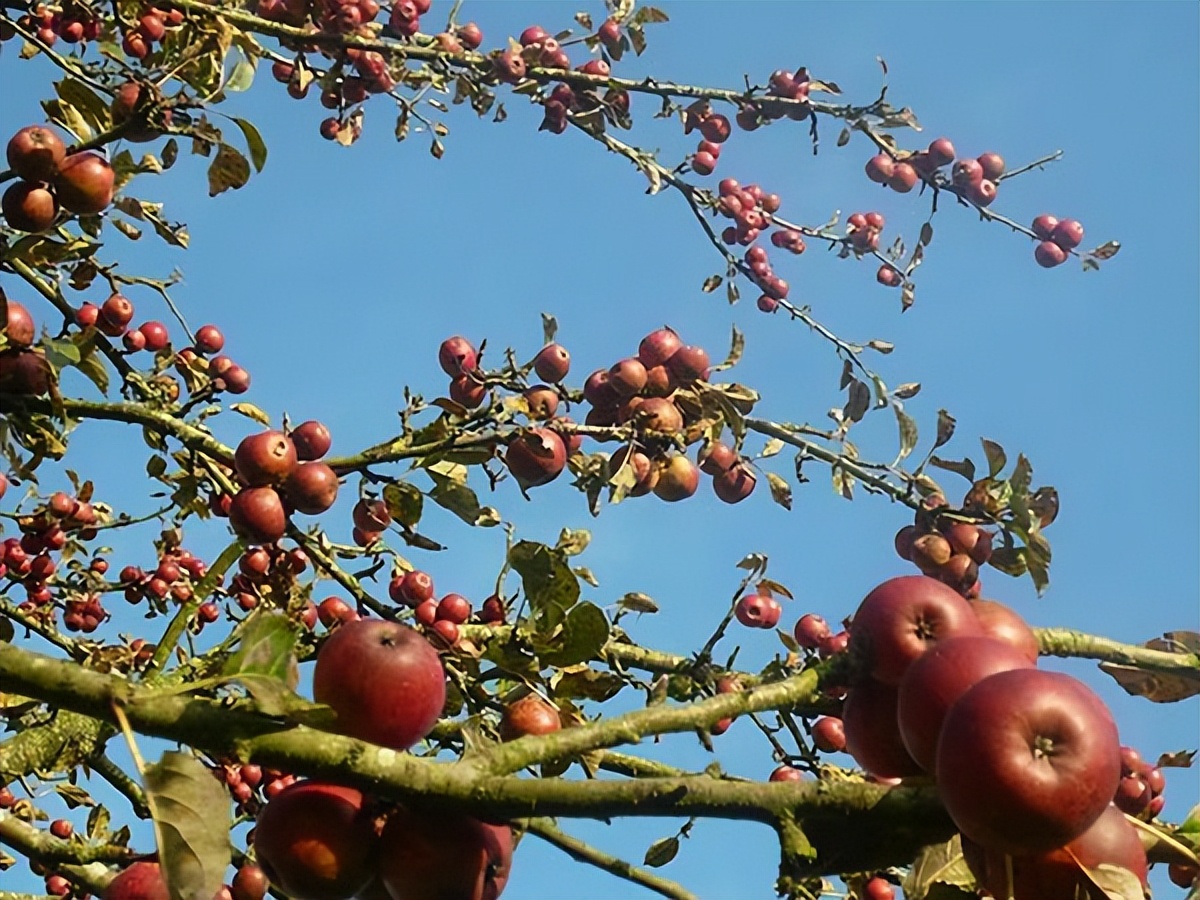 不容错过法国红酒,不容错过的精彩时刻