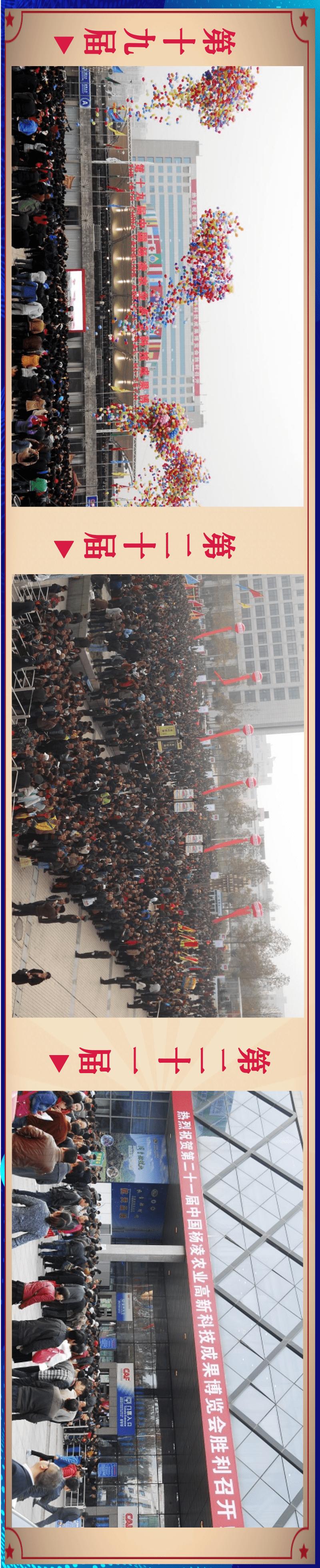 农高会的历史,农高会详细攻略