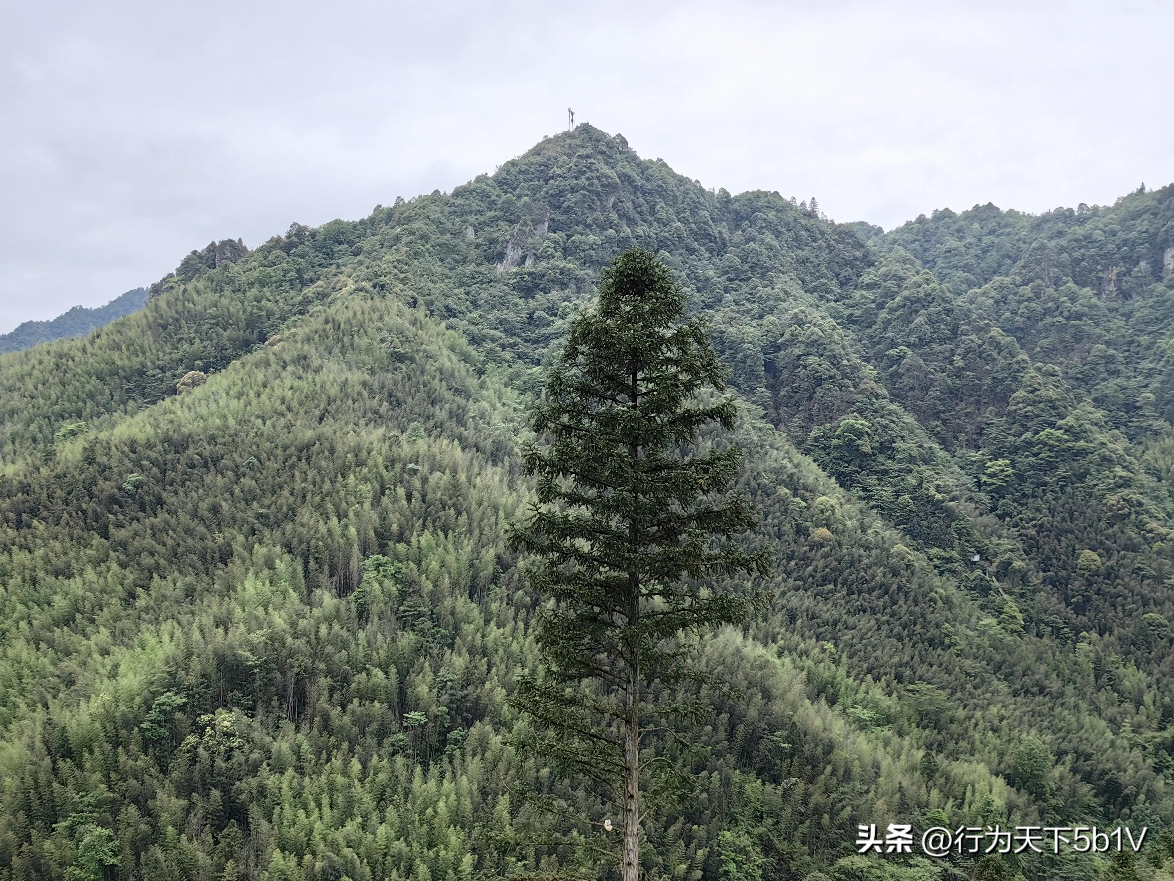 【探秘宛田红滩瀑布溯溪梦江吉翁瀑布】穿越花坪神秘风景线