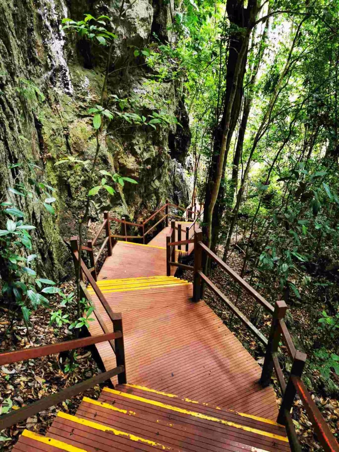 云南西双版纳旅游攻略app,云南西双版纳旅游攻略自由行12月