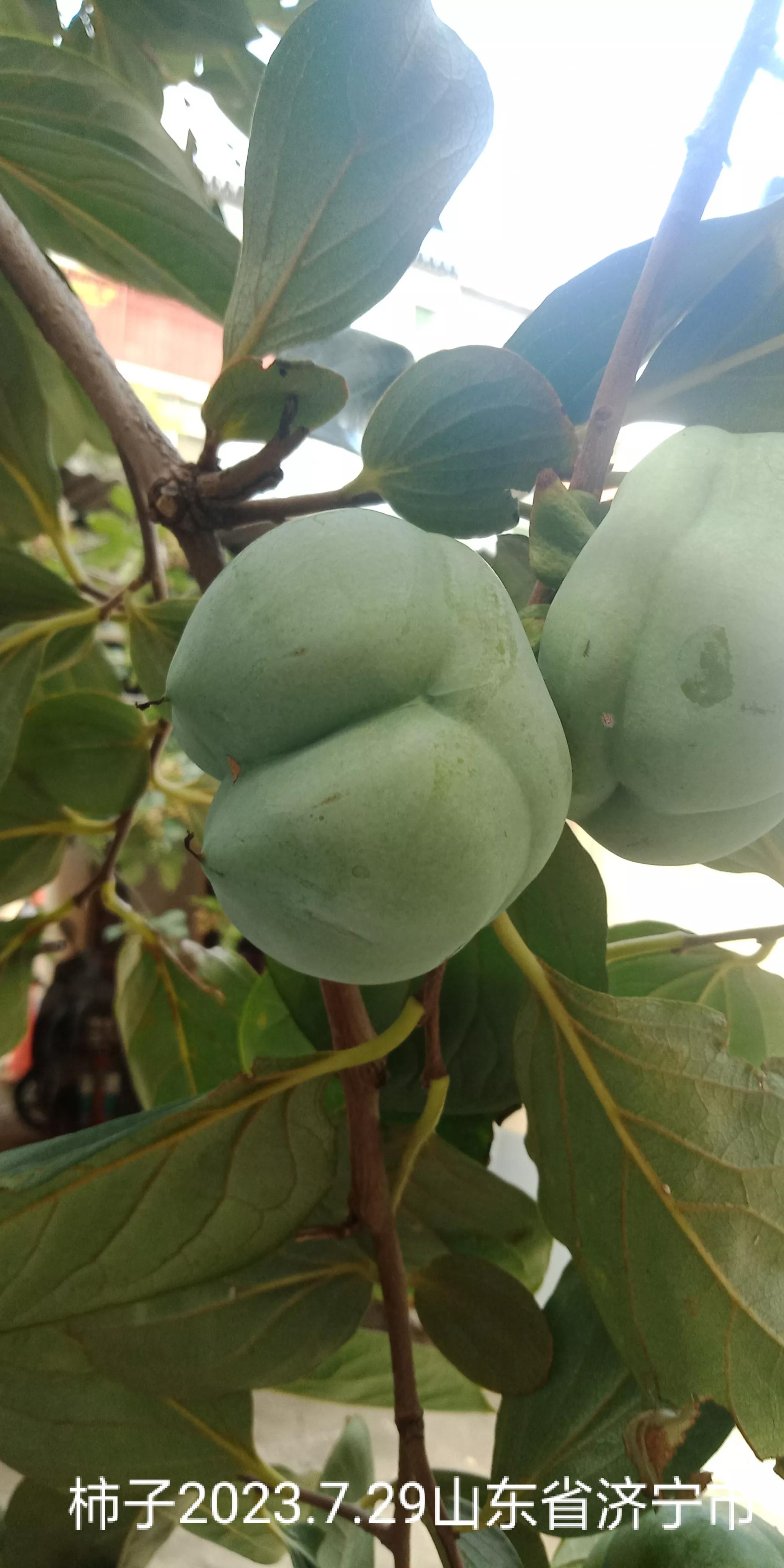 房屋漏水房顶需要怎么改造,旧房改造后楼顶漏水找哪里处理